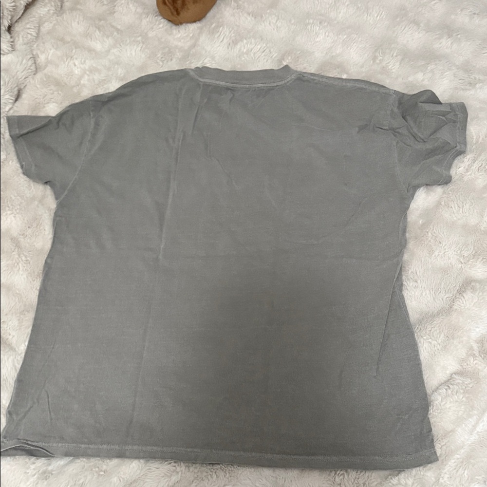 Gray Graphic Tee - Support Your Local Honky Tonk - Picture 6 of 6
